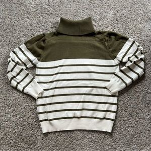 Thick Striped Turtleneck Sweater